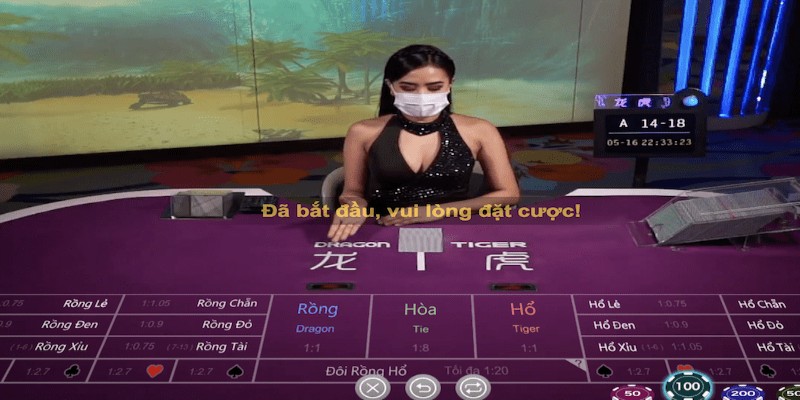 Luật, quy định cơ bản của trò chơi 